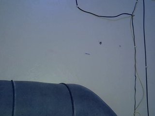 Cayvaal's Live Webcam