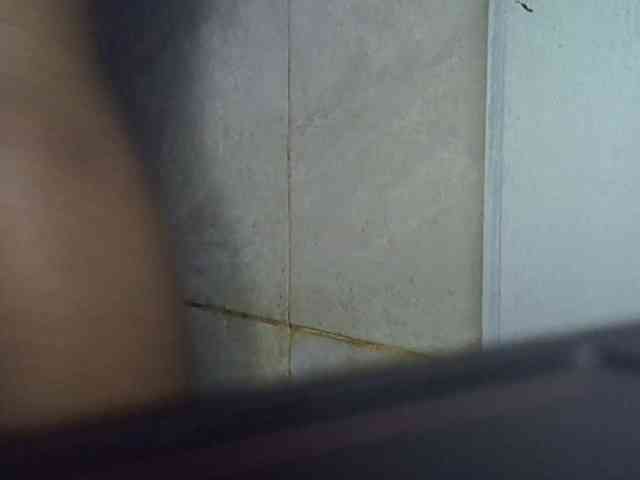Cayvaal webcam