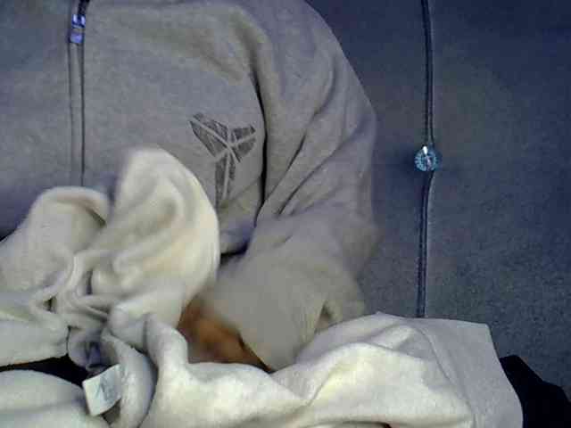 Cayvaal webcam