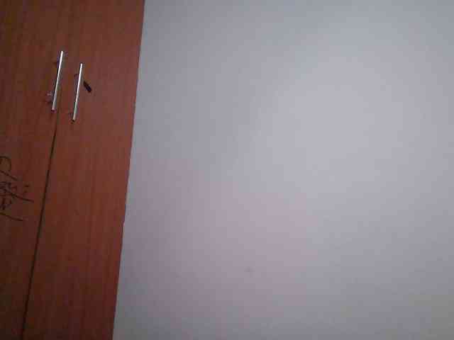 Cayvaal webcam