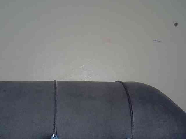 Cayvaal webcam