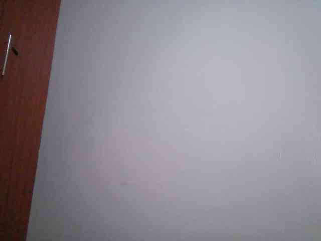 Cayvaal webcam