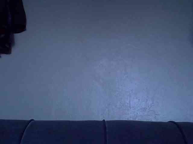 Cayvaal webcam