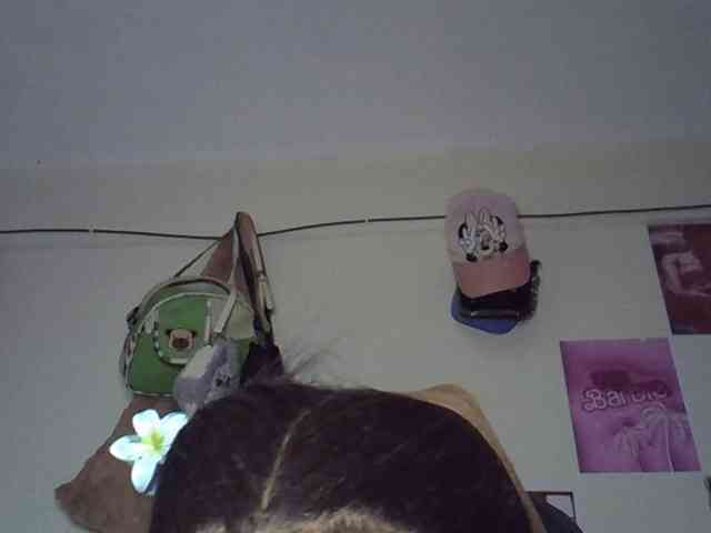 Cayvaal webcam