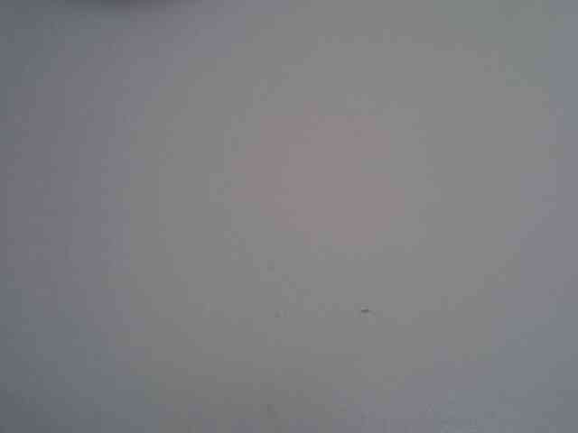 Cayvaal webcam
