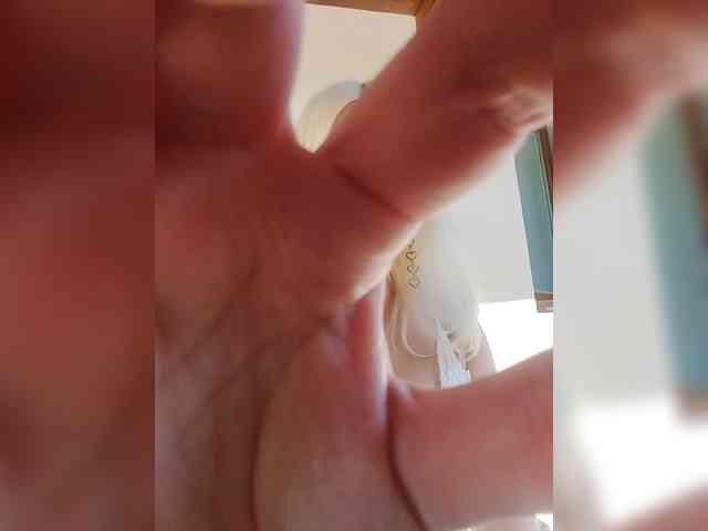 LaymaFlay webcam