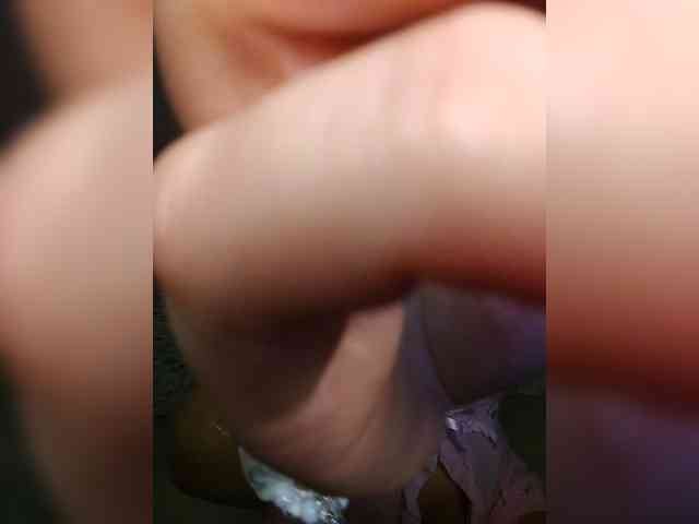 LaymaFlay webcam
