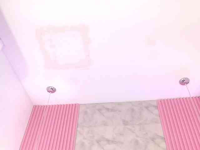 ArianaRougee