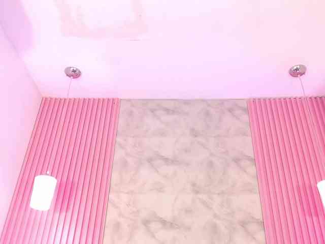 ArianaRougee