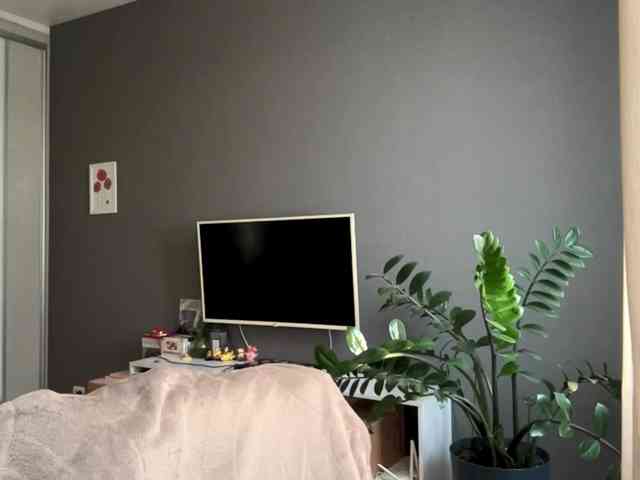 PatriciaShifflett webcam