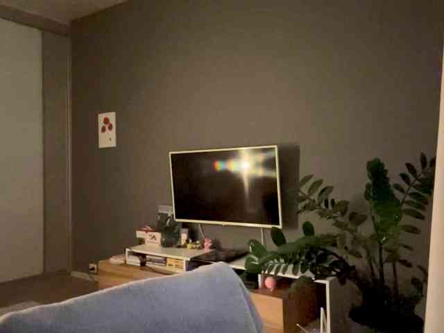 PatriciaShifflett webcam