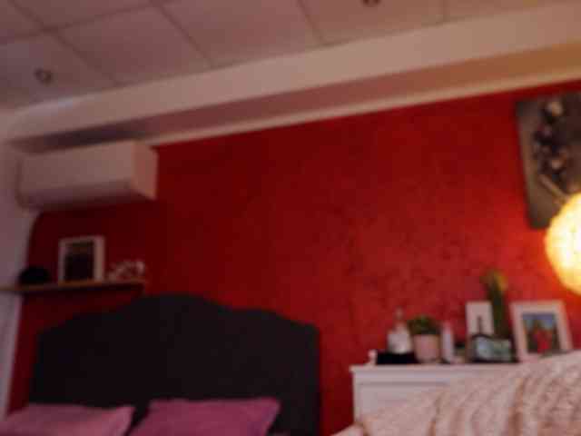 1rosell webcam