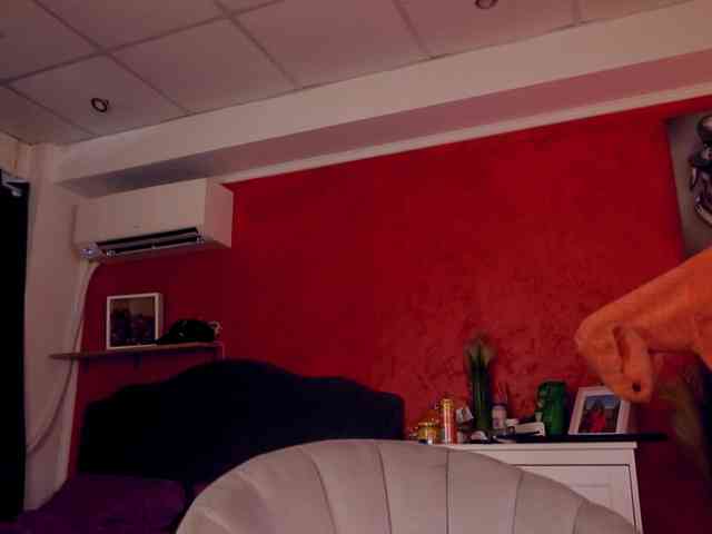 1rosell webcam