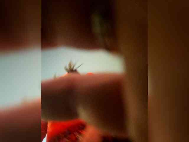 NedostupnayaPara webcam