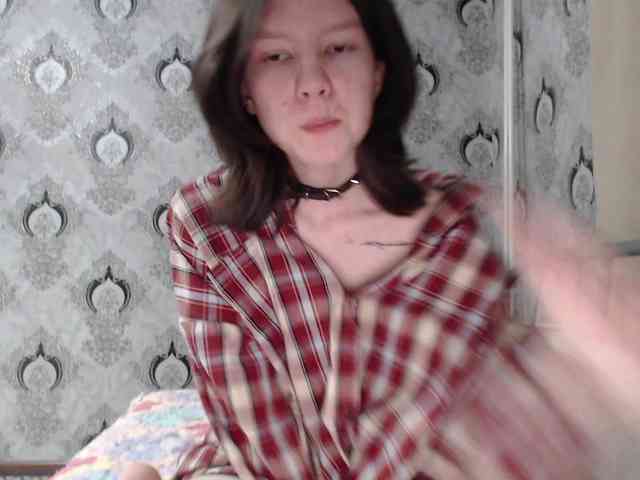 Rozvelt webcam