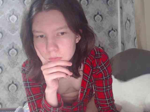 Rozvelt webcam