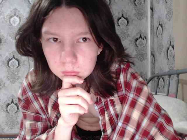 Rozvelt webcam