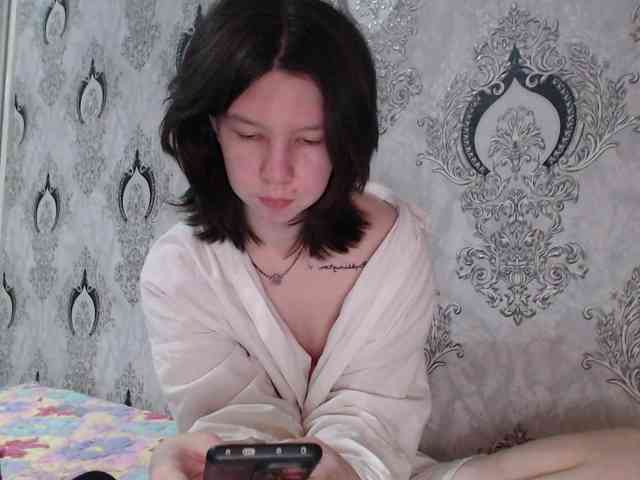 Rozvelt webcam