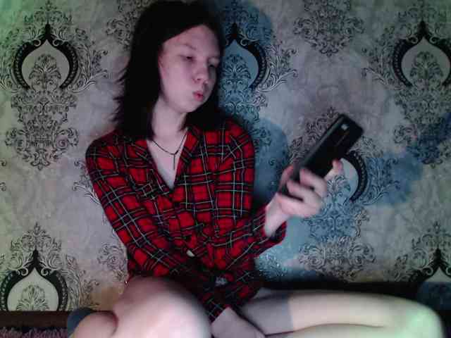 Rozvelt webcam