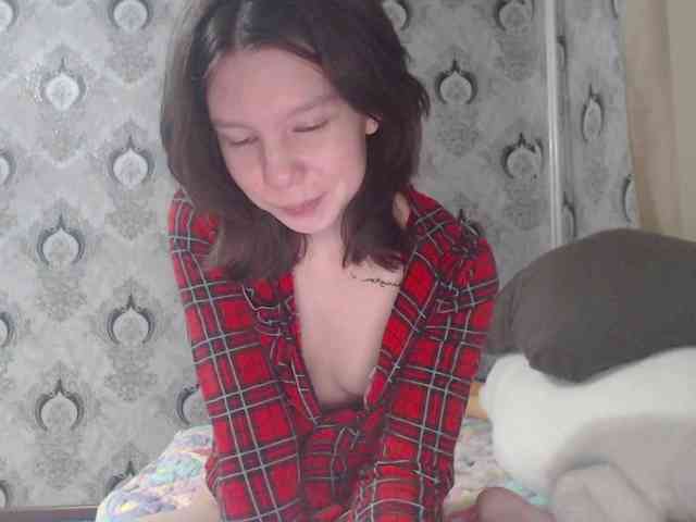 Rozvelt webcam