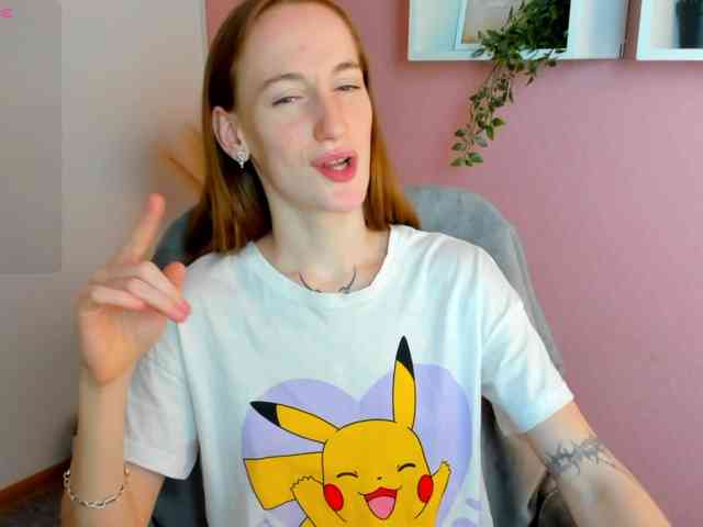 Jaidii webcam