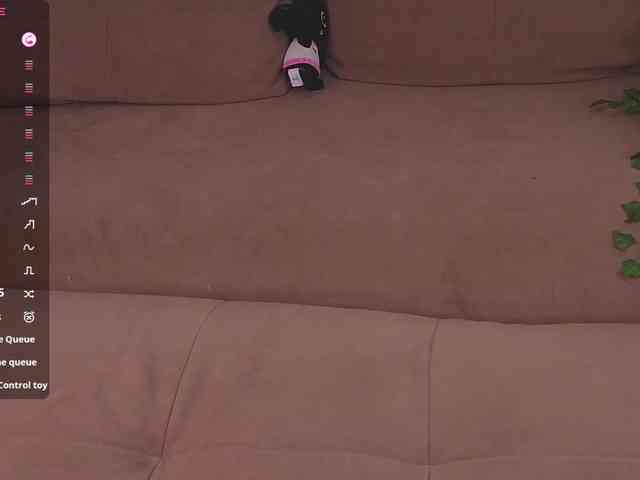 Virelya webcam
