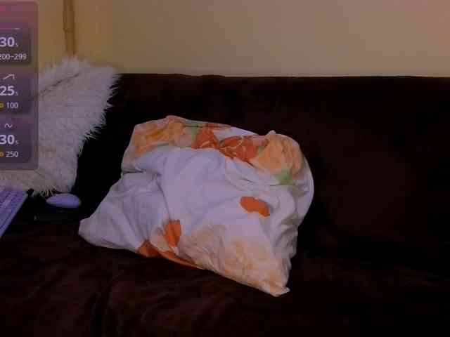 Loonsey webcam