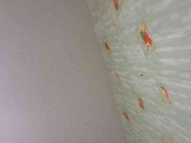 Vikktorriaaa webcam
