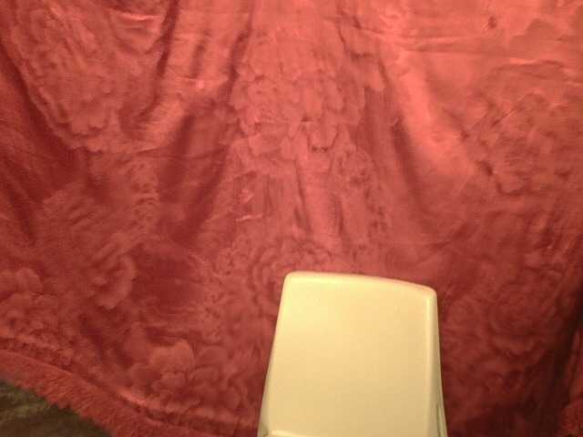 Preview of pinayanna