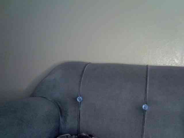 zyrac webcam