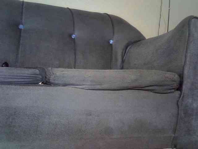 zyrac webcam