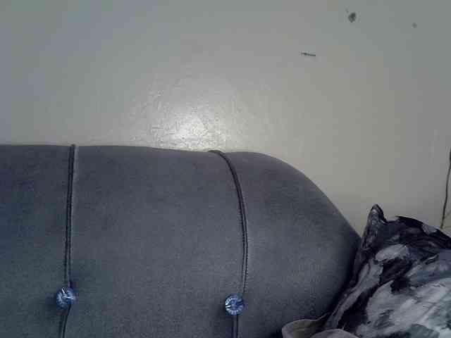 zyrac webcam