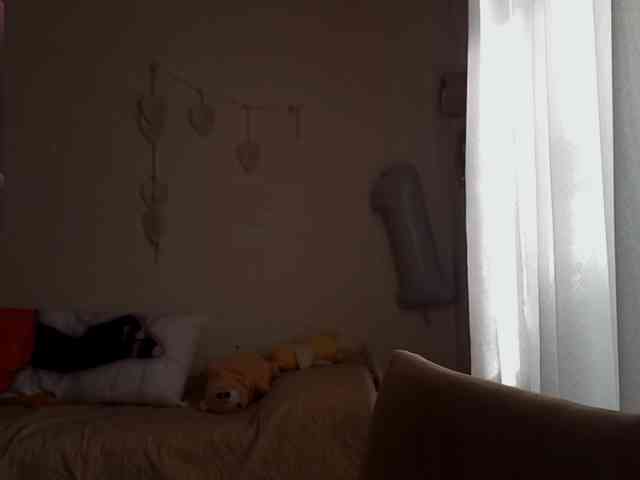 MyrleHenggeler webcam