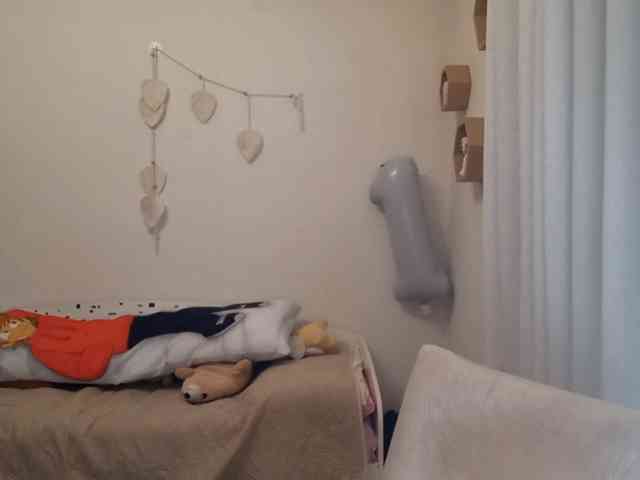 MyrleHenggeler webcam
