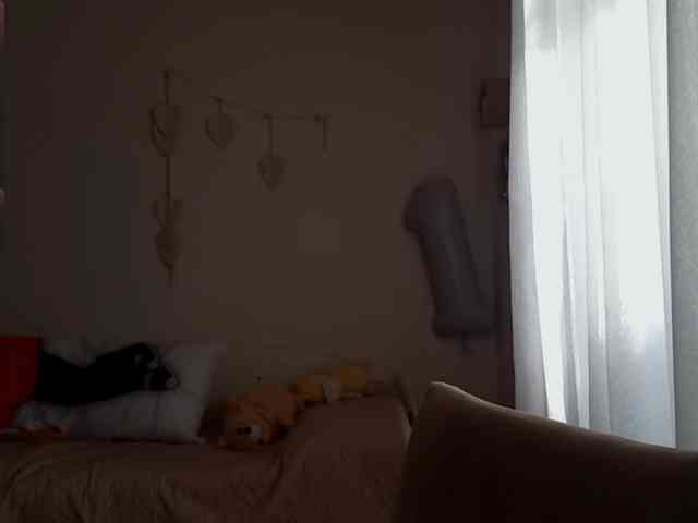 MyrleHenggeler webcam
