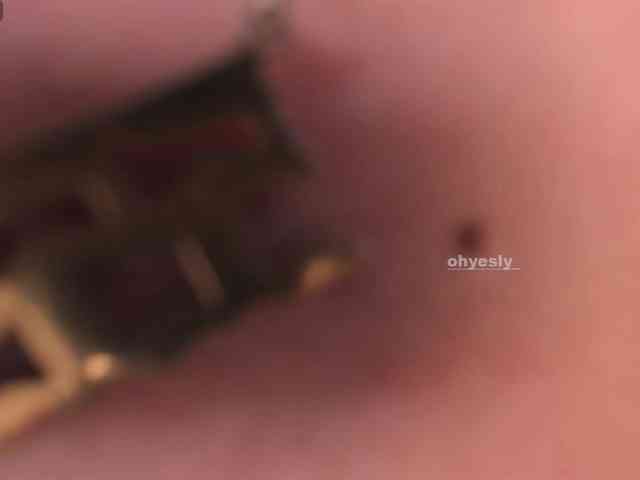 ohyesly webcam