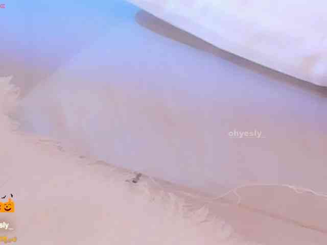 ohyesly webcam