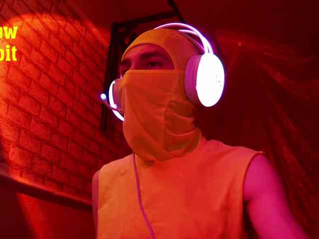 yellowrabbit26
