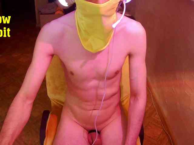 yellowrabbit26