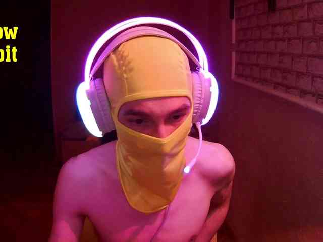 yellowrabbit26