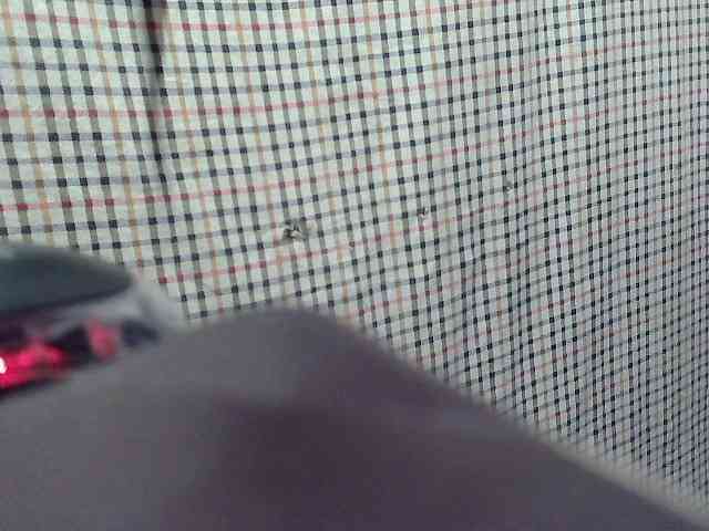 PinayLynlyn08 webcam