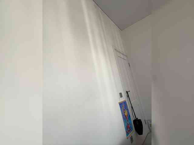 Renaw webcam