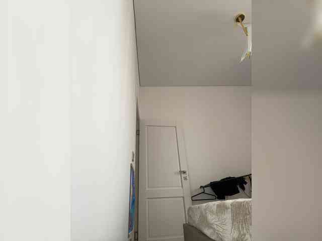 Renaw webcam