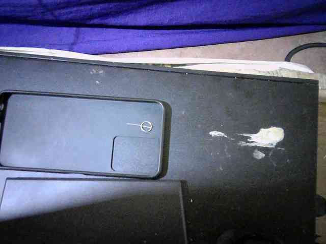 queen-slender webcam