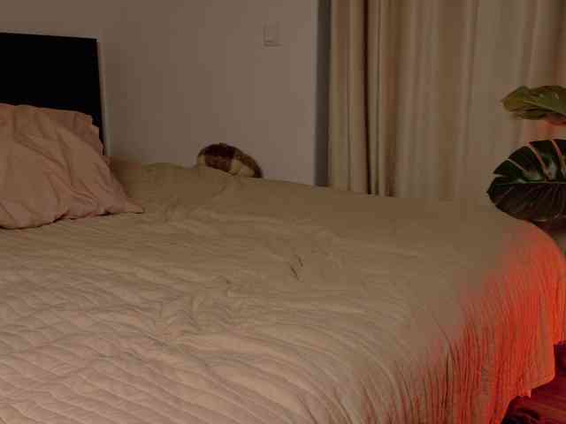 Hazel777 webcam