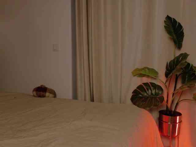 Hazel777 webcam