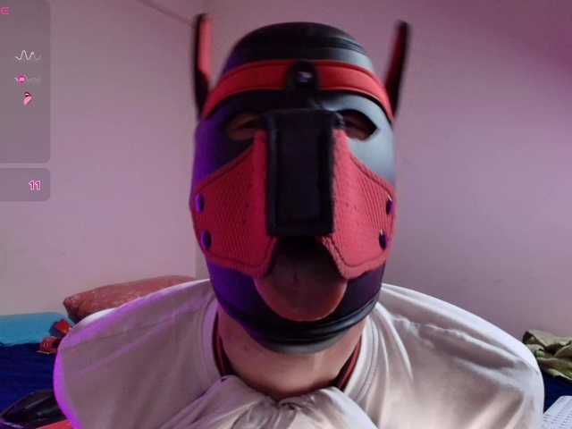 K9GoodBoy