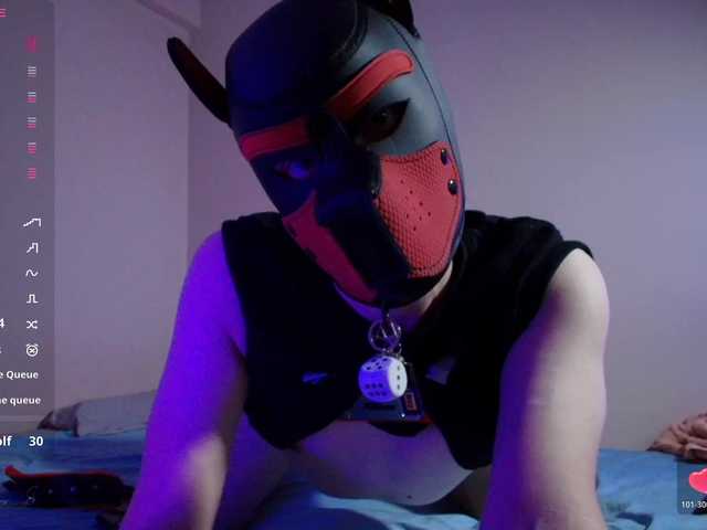 K9GoodBoy