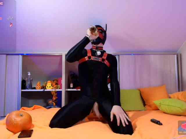 K9GoodBoy