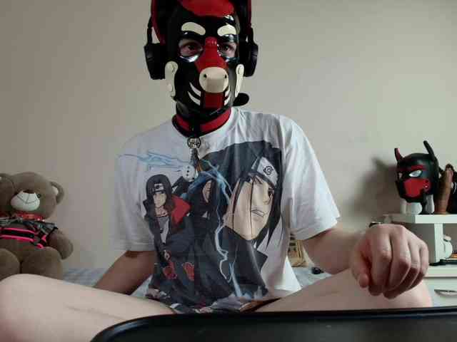 K9GoodBoy